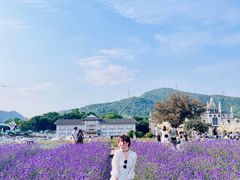 -玫瑰海岸文化旅游度假区