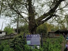 -藏龙百瀑风景区