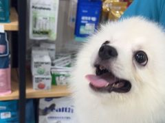 -佳雯宠物医院·皮肤科·内外科(春晓路分院)