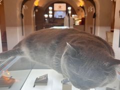 -Me Coffee下午茶艺术空间