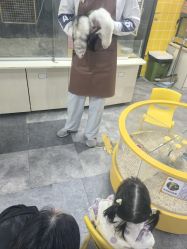 -神奇动物撸宠馆·羊驼·小浣熊·异宠(豫园店)