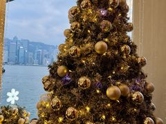 -海港城