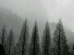 -井冈山风景名胜区