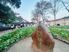 -绍兴鲁迅故里·沈园景区