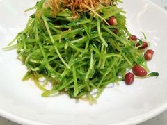 -青花椒花椒鱼(合生汇店)