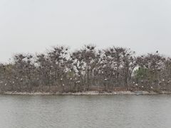 -安徽八里河旅游区