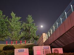 -肖四女乐山跷脚牛肉(世博源店)