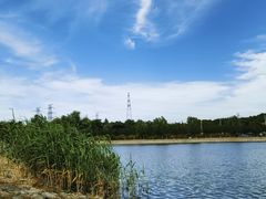 -羊山湖公园