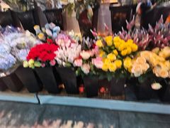 -大自然花鸟鱼虫市场