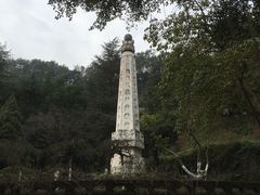 -乐山市博物馆