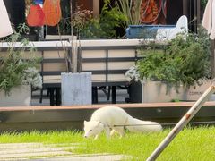 -苏州河梦清园环保主题公园