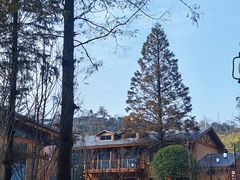 -山王坪喀斯特国家生态公园