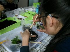 -A+匠心DIY手工坊·首饰·微景观
