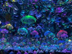 -天津梵高星空艺术馆(天河城旗舰店)