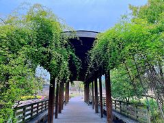 -白塘生态植物园