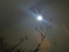 -华夏良子·足道SPA艾灸(开源店)
