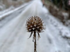 -武陵山森林公园
