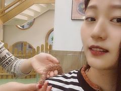 -藦茜花园宠物主题亲子互动体验馆(国顺东路店)