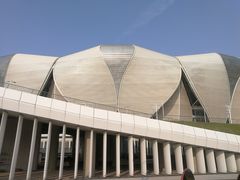 -杭州奥体中心-体育场