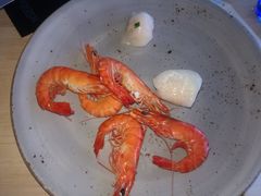 -悉尼塔旋转餐厅