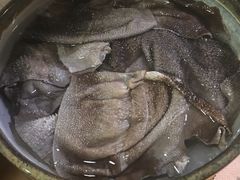 -白乐天毛肚火锅馆(南滨路店)