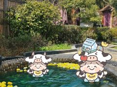 -余姚阳明温泉山庄