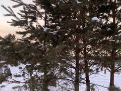 -北极村旅游风景区