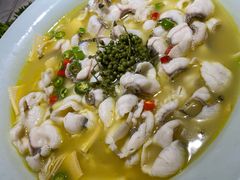 招牌青椒鱼-青花椒花椒鱼(合生汇店)