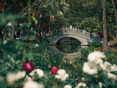 -人民公园(罗湖区)