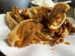 -晓雯人家