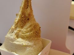 -野人先生现做冰淇淋(北京王府井东方新天地店)