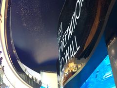 -迪拜水族馆及水下动物园