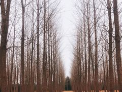 -汉景帝阳陵博物院