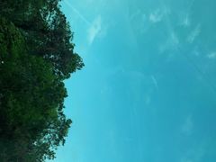 -广东惠东海龟国家级自然保护区