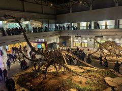 -自贡恐龙博物馆