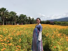 -亚龙湾国际玫瑰谷