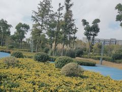 -南汇新城城市公园