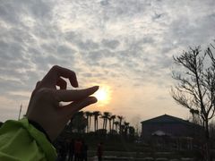 -上海崇明金茂凯悦酒店