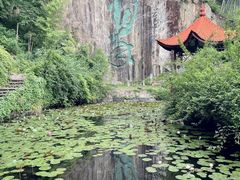 -莫干山风景区