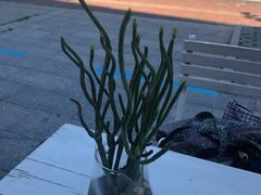 -一杯海(国际海水浴场店)