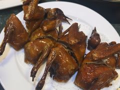 脆皮乳鸽-齐海鱼圣深海石斑鱼火锅店(极地海洋世界店)