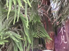 -华西村