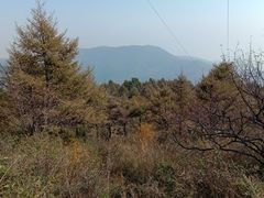-妙峰山风景名胜区