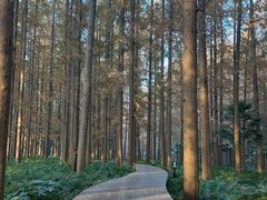 -上海怡沁园度假酒店
