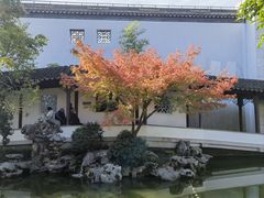 -秋霞圃