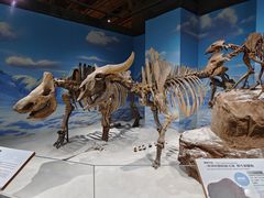 -正佳自然科学博物馆