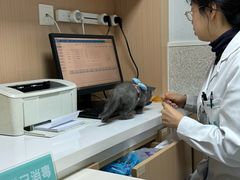 -谐和贝康宠物医院24小时·宠保定点(急重症转诊中心)