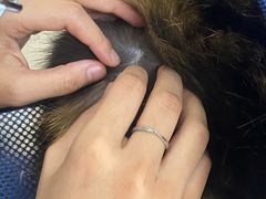 -酷宠动物医院(天通西苑店)