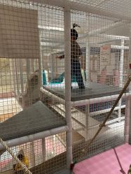 -超级奈尔宝SUPER NEOBIO(杭州星光店)