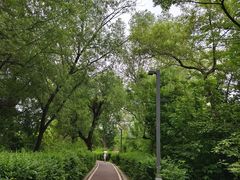 -长春市南湖公园